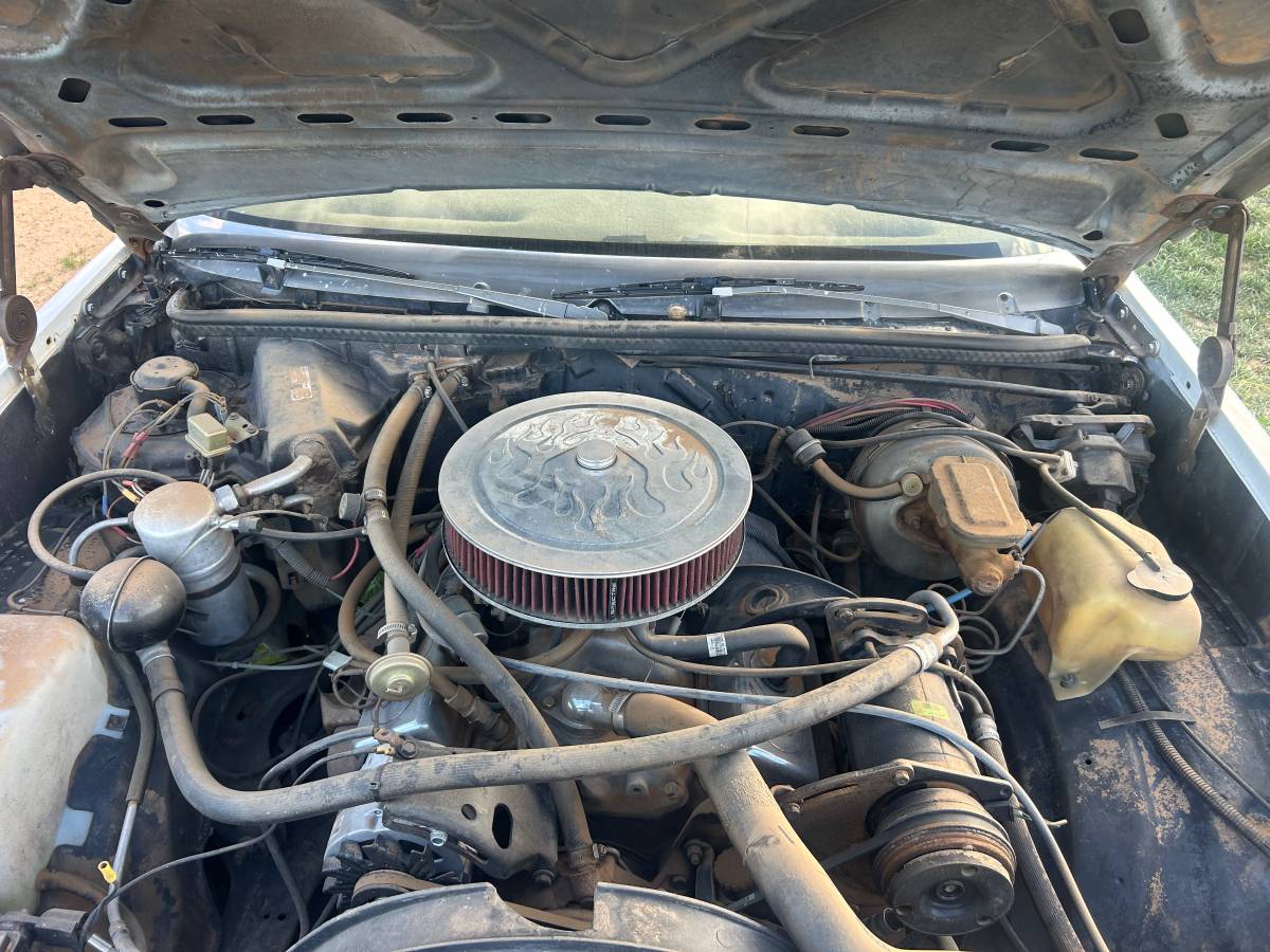 Chevrolet-el-camino-1979-6