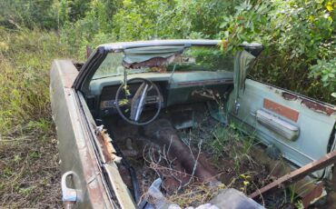 Chevrolet-impala-1969-8