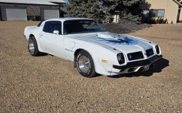 Chevrolet-k10-cheyenne-1973-grey-14