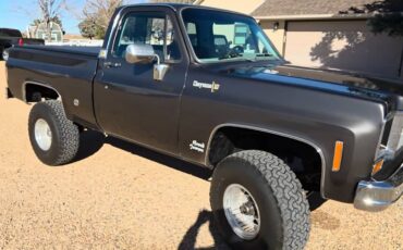 Chevrolet-k10-cheyenne-1973-grey