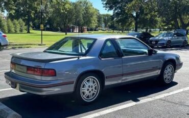 Chevrolet-lumina-1991-grey-1