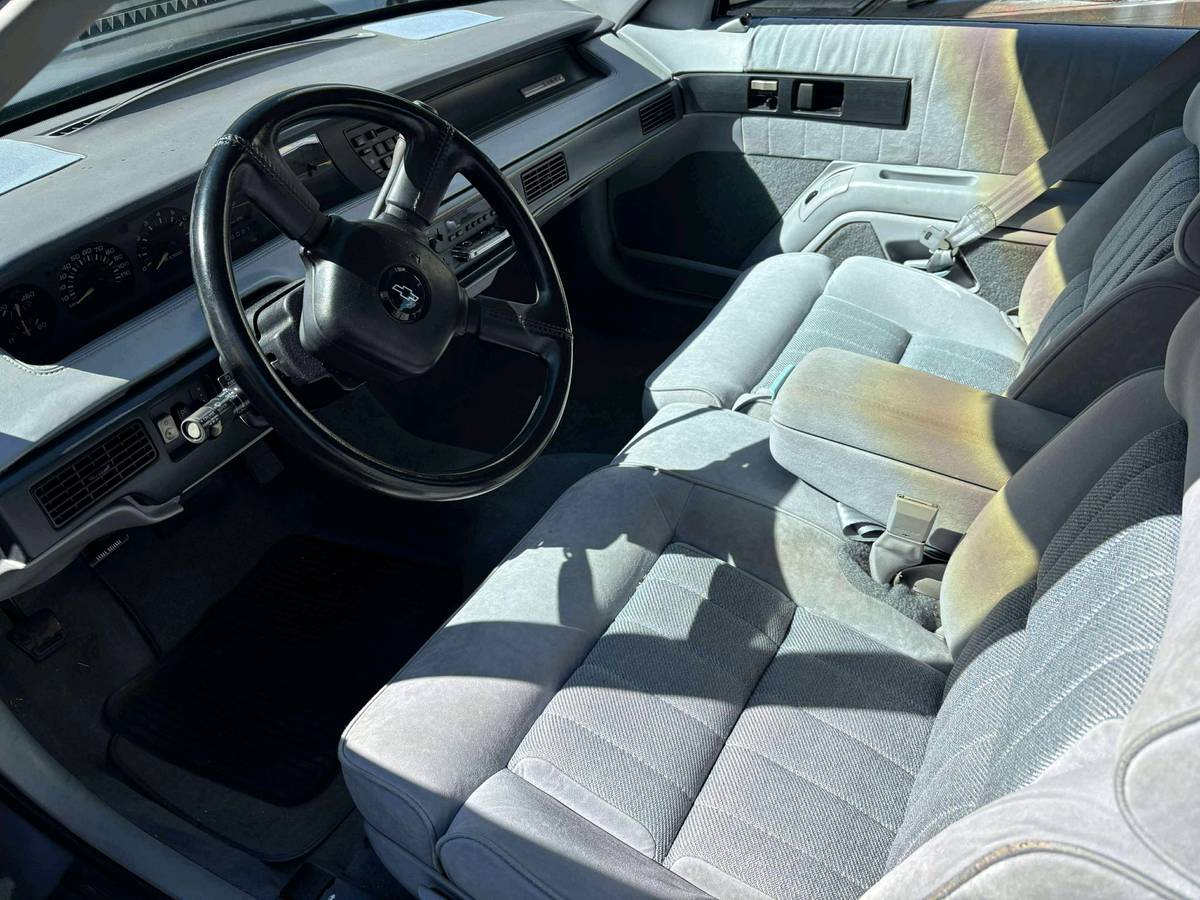 Chevrolet-lumina-1991-grey-3