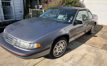 Chevrolet-lumina-1991-grey
