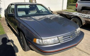 Chevrolet-lumina-1991-grey-5