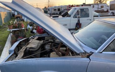 Chevrolet-monte-carlo-1982-1