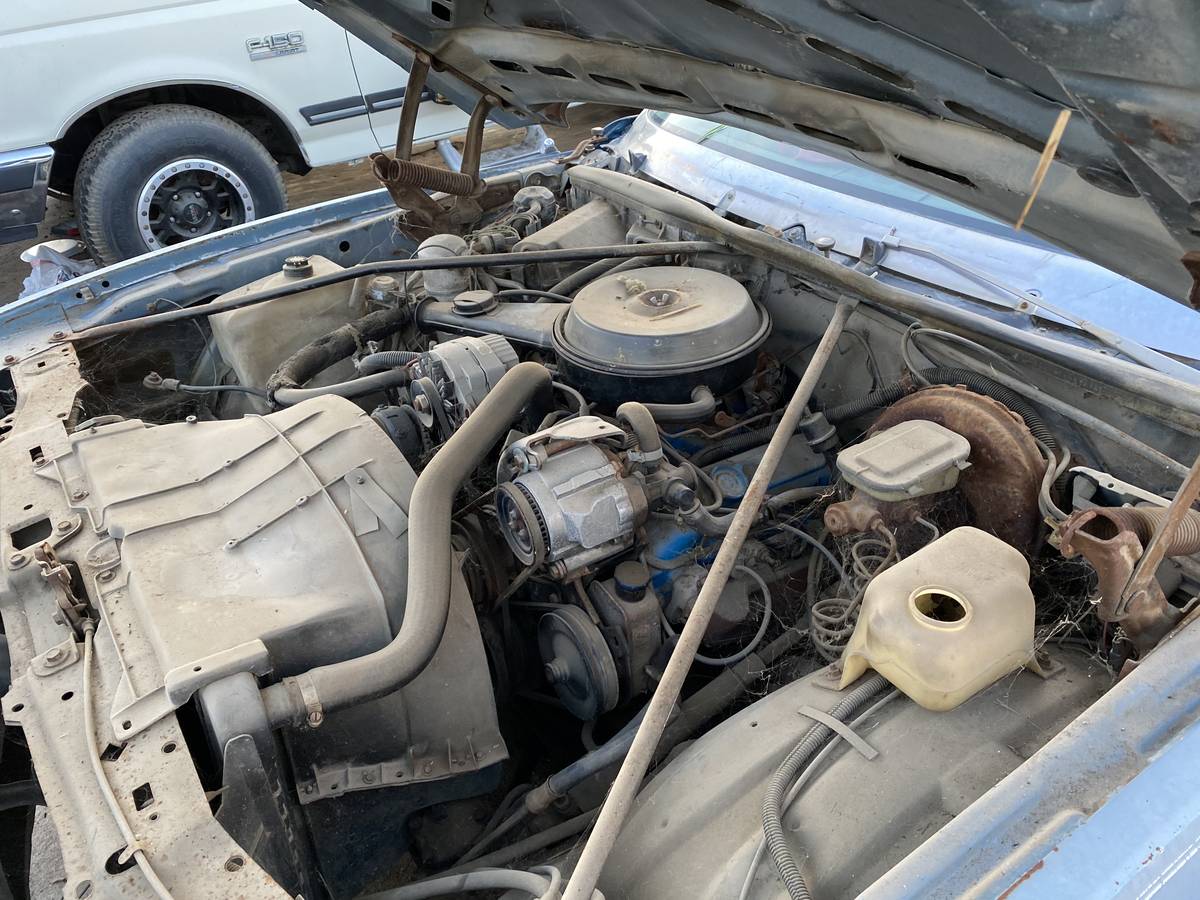 Chevrolet-monte-carlo-1982-2