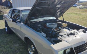 Chevrolet-monte-carlo-ss-1984-grey-10