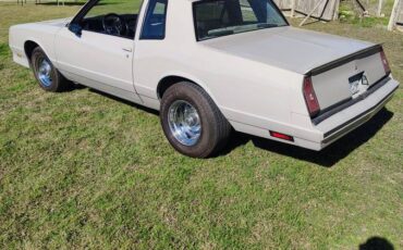 Chevrolet-monte-carlo-ss-1984-grey-13