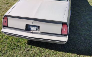 Chevrolet-monte-carlo-ss-1984-grey-14