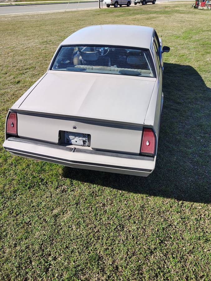 Chevrolet-monte-carlo-ss-1984-grey-14