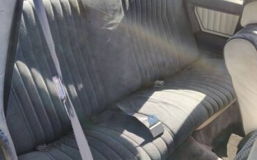 Chevrolet-monte-carlo-ss-1984-grey-18