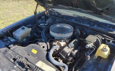 Chevrolet-monte-carlo-ss-1984-grey-20