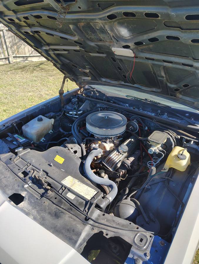 Chevrolet-monte-carlo-ss-1984-grey-20