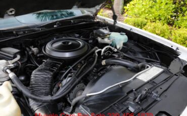 Chevrolet-monte-carlo-ss-1984-white-15