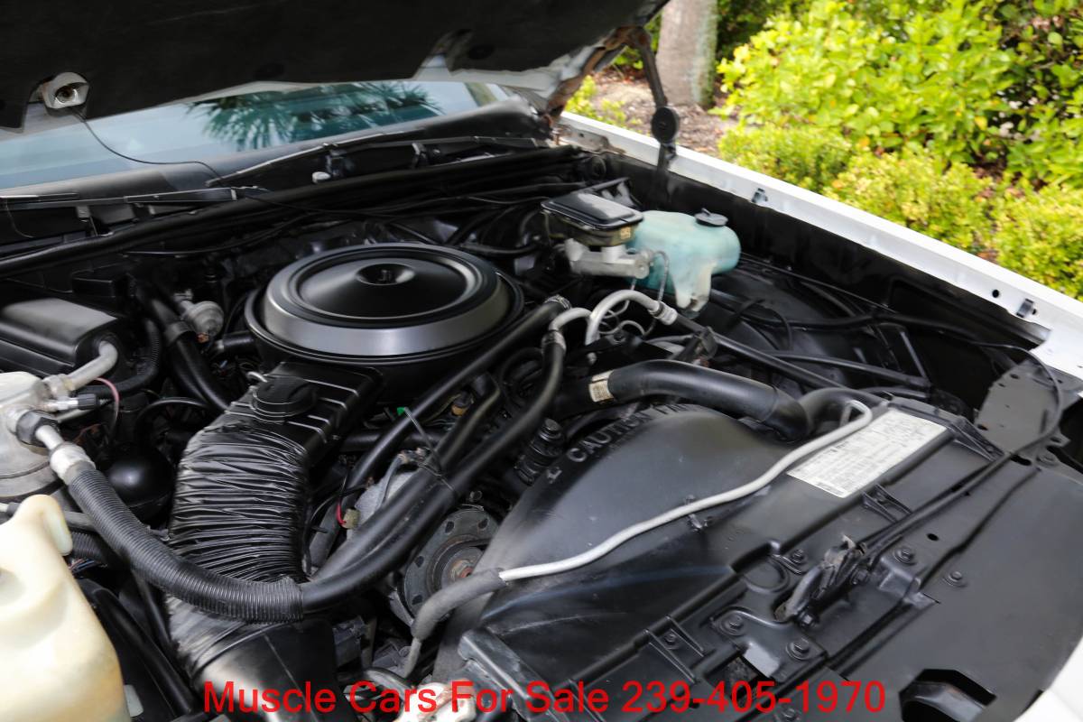 Chevrolet-monte-carlo-ss-1984-white-15