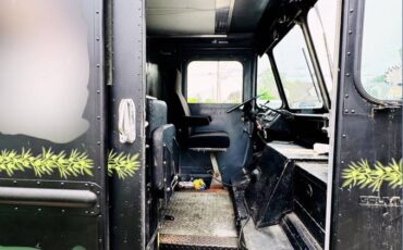 Chevrolet-p30-1979-10