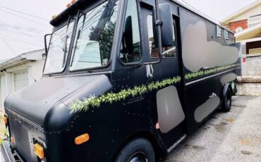 Chevrolet-p30-1979-4