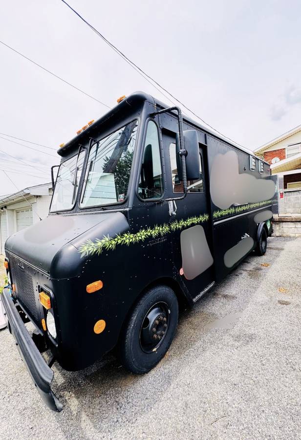 Chevrolet-p30-1979-4