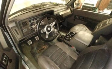 Chevrolet-pick-up-1992-white-5