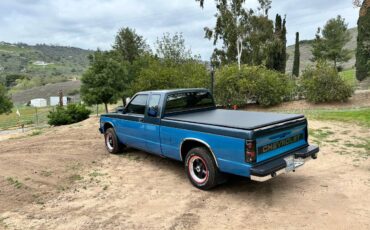Chevrolet-s-10-tahoe-pick-up-1993-blue-18