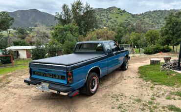Chevrolet-s-10-tahoe-pick-up-1993-blue-23