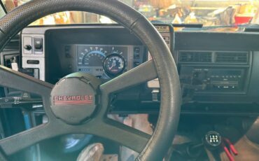 Chevrolet-s-10-tahoe-pick-up-1993-blue-9