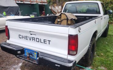 Chevrolet-s10-pickup-1983-4