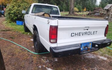 Chevrolet-s10-pickup-1983-5