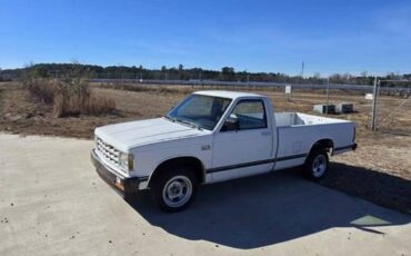 Chevrolet-s10-pickup-1987-white-1