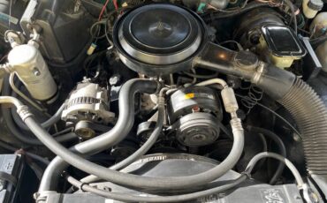 Chevrolet-s10-pickup-1993-10