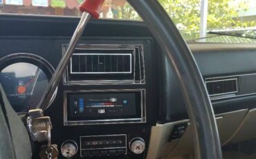 Chevrolet-scottsdale-1981-custom-19