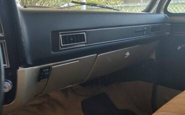 Chevrolet-scottsdale-1981-custom-29