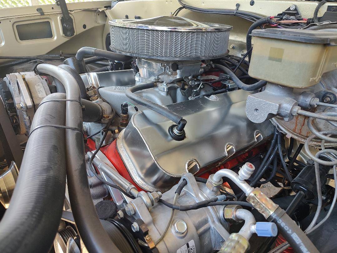 Chevrolet-scottsdale-1981-custom-44