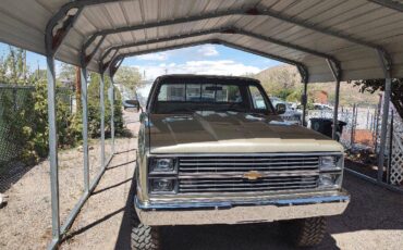 Chevrolet-scottsdale-1981-custom-7