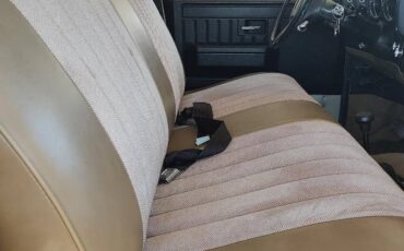 Chevrolet-scottsdale-1981-custom-9