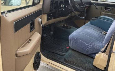 Chevrolet-scottsdale-20-1983-brown-2