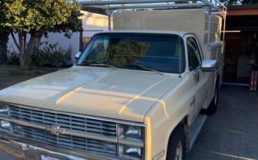 Chevrolet-scottsdale-20-1983-brown-3