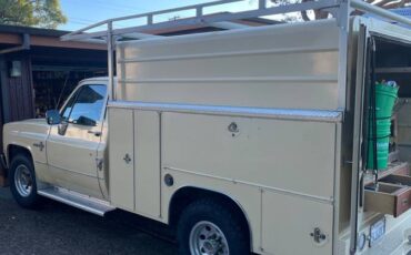 Chevrolet-scottsdale-20-1983-brown