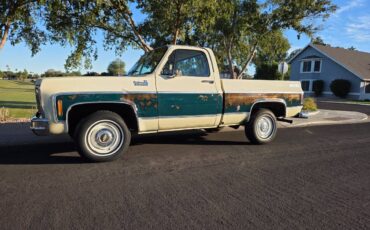 Chevrolet-silverado-1500-1978-16