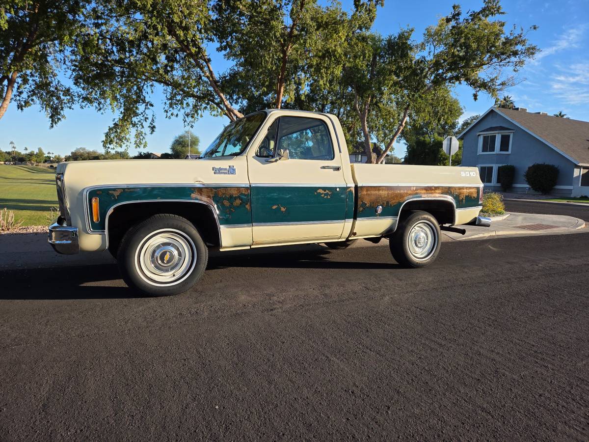 Chevrolet-silverado-1500-1978-16