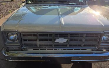 Chevrolet-silverado-1500-1978-17