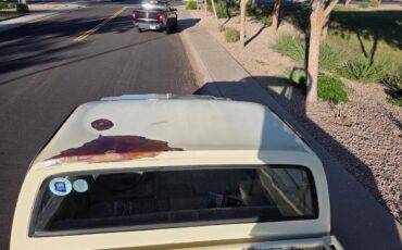 Chevrolet-silverado-1500-1978-6