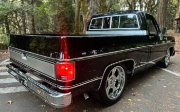 Chevrolet-silverado-1500-1980-black-23