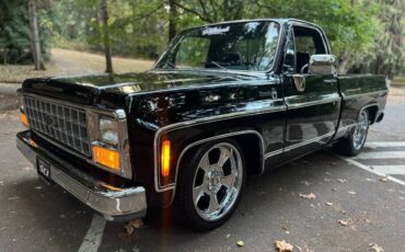 Chevrolet-silverado-1500-1980-black-38
