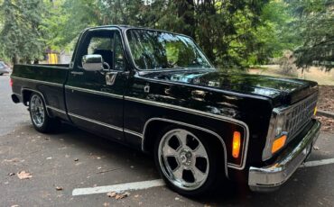 Chevrolet-silverado-1500-1980-black-4