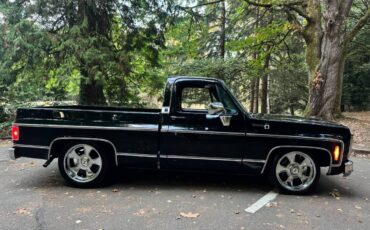 Chevrolet-silverado-1500-1980-black-41