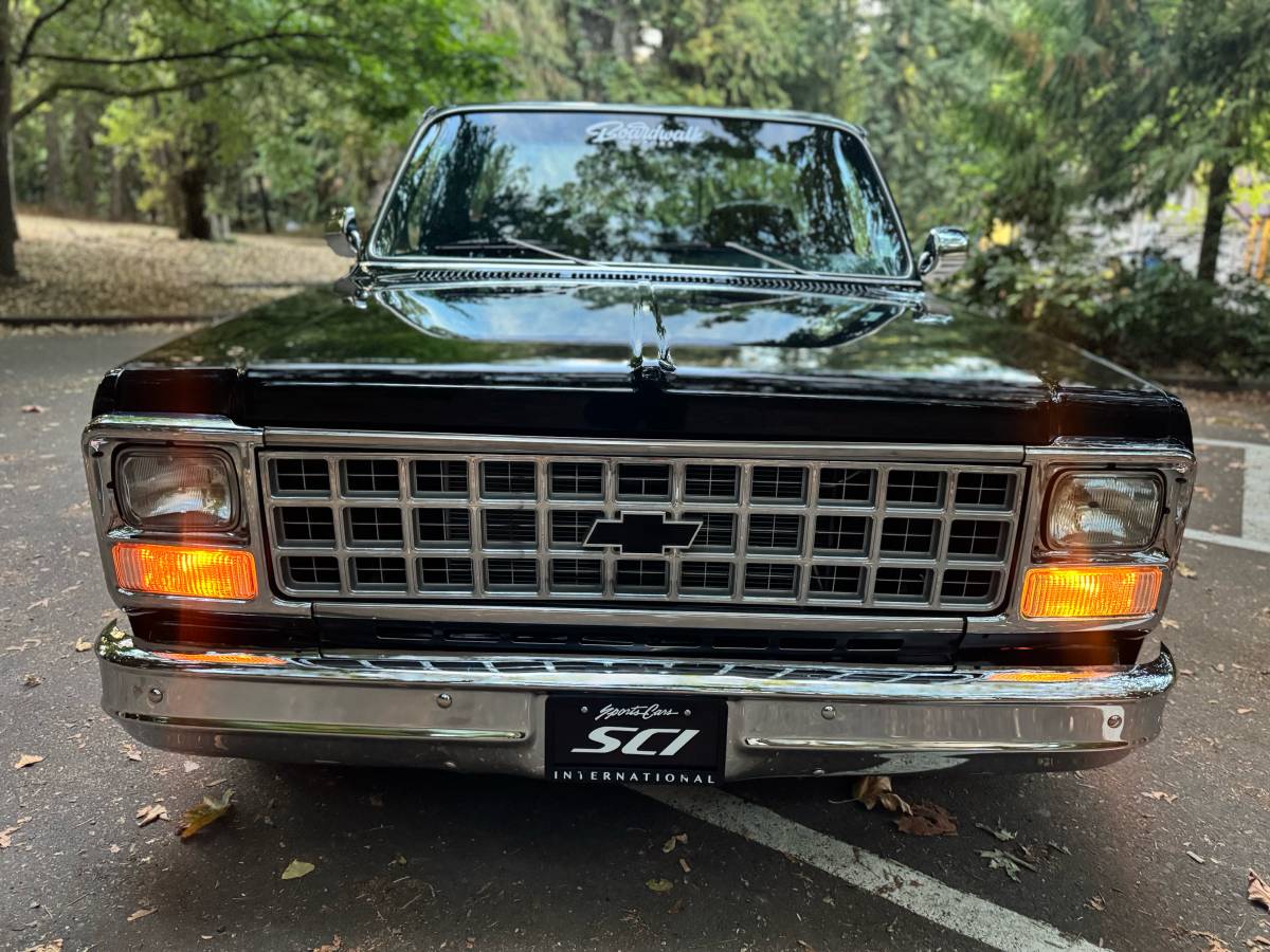 Chevrolet-silverado-1500-1980-black-58