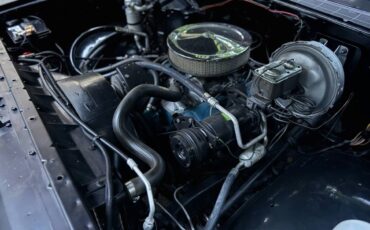 Chevrolet-silverado-1500-1980-black-9