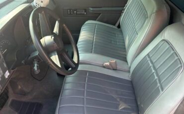 Chevrolet-silverado-1500-1994-grey-2