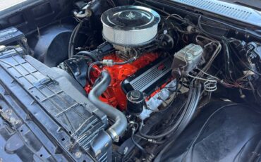 Chevrolet-silverado-1981-11